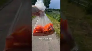 Крутейший зоопарк в России