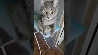 Настроение