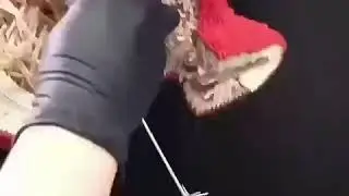 Просто бомба