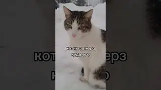 1 марта 2024 г.