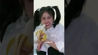 Bai lu is such a meme 🤣🤣