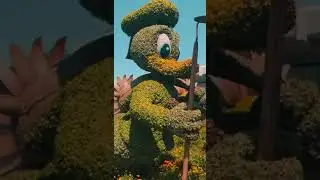 The Butterfly Garden at EPCOT's Flower & Garden Festival 2022