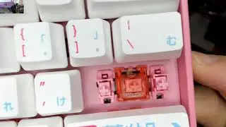 Akko 3061S R2 Tokyo World Tour Review