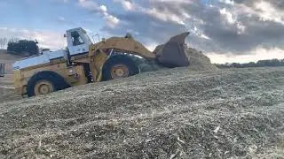 Hough pay loader pushing silage 2021
