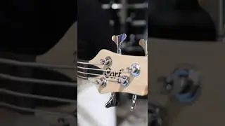 Budget but Powerful Bass | Cort Action PJ (camera audio) 