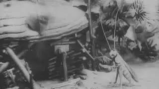 Стрекоза и Муравей, 1913 - Владислав Старевич - мультфильм