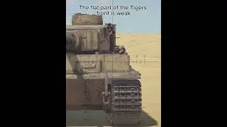 How to Kill the Tiger H1
