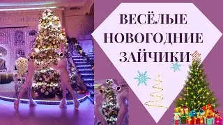 Зайцы новогодний ремикс.