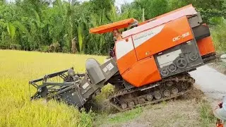 MÁY CẮT LÚA KUBOTA DC 93 CHẠY CẮT LÚA THẦN TỐC máy gặt đập Liên Hợp