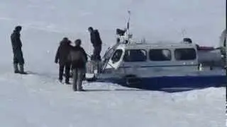 Удивительная самарская маршрутка