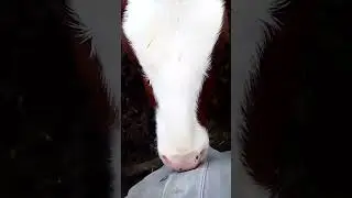 14 мая 2023 г.
