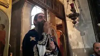 2019 11 17 Недеља 22. по Духовима - Црква Рођења Пресвете Богородице - Луцерн