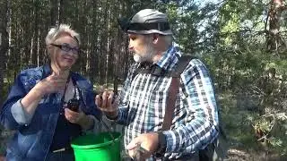 Грибы на Удоре на 8 августа