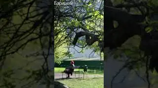 но меркнет день, настала ночь...