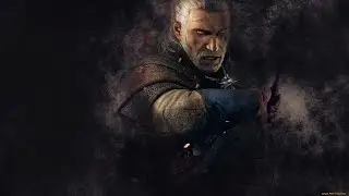 The Witcher 3: Wild Hunt // Почти все знаки вопроса на Скеллиге за 43 минуты! #21