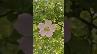 Мотивація:Життя прекрасне