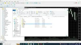 How to Activate, Install Auto Trading Robot Expert Advisor on MT5 MQL5 | Forex | Gold | Nas100