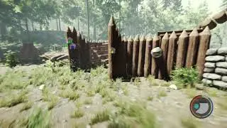 The Forest