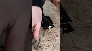 жизнь в землянке в лесу с диким кабаном.