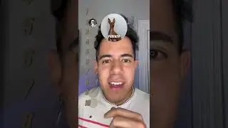 ¿Cuál es tu perro favorito ? Parte 1🐩 #el_bengusa #parati #ranking #pov #perros