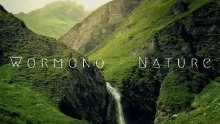 Wormono - Nature