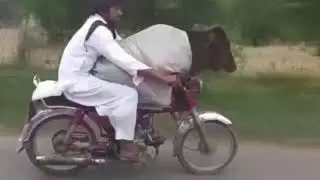 Crazy Motorbike Drive -  don't know what to say on this