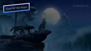 Howl At The Moon