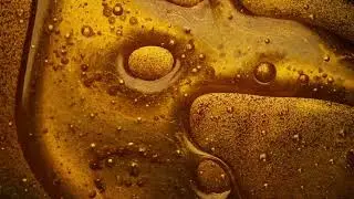 Rare Scents by CKC