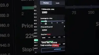 🔥30-DAY UPDATE: Testing the house pools of top DeFi leverage trading platforms