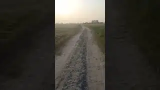 Village View#shortsvideo #beautiful #funny #village #villagelife #villagevlog