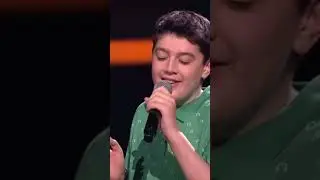 невероятный голос мальчика 