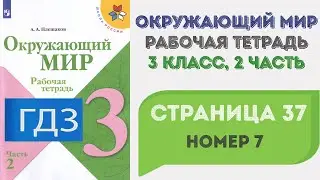 Окружающий мир. Рабочая тетрадь 3 класс 2 часть. ГДЗ стр. 37 №7