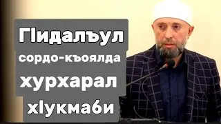 05.04.2024 / Г1идалъул сордо-къоялда хурхарал х1укмаби