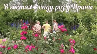#розы #всадуроз #розывсаду Я иду в гости! А вы со мной? В гостях в саду роз у Ирины .