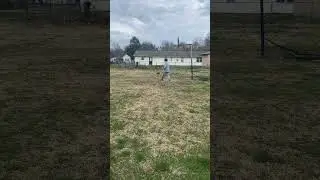Layup