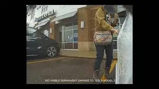 Tesla Sentry Mode catches discourteous behavior in parking lot