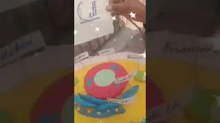 Animal Cell project idea #botanywithyoutube