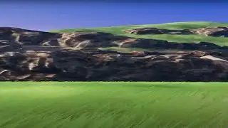 Creating Unreal Engine 5 Grass with a 