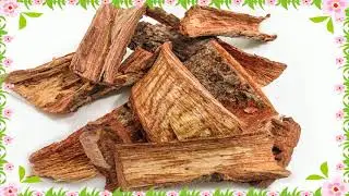 CUACHALALATE COMO ALIVIAR LA GASTRITIS Y LAS ULCERAS