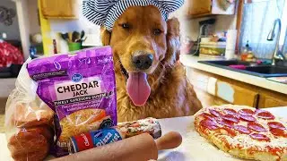 Funny Chef Dog Earl Cooks! Compilation