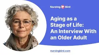 Aging as a Stage of Life: An Interview With an Older Adult - Essay Example