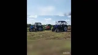 Сено 2022