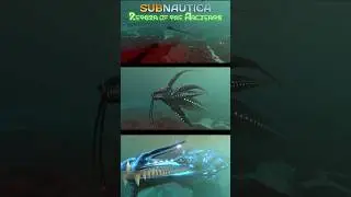 Gargantuan Leviathan Size comparison 