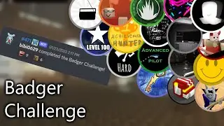 I Collected 107 Badges For a Challenge