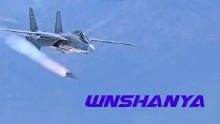 4 ЗНАК ОТЛИЧИЯ ПИЛОТА ЗА МАРАФОН ПЕРСИДСКИЙ КОТ!