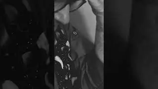 Missing a Little Something (and it is not a pinch of cayenne) 16 seconds of behind the scenes