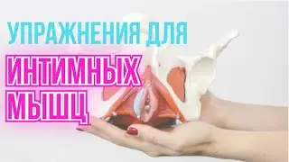 УПРАЖНЕНИЯ ДЛЯ ЖЕНСКОГО ЗДОРОВЬЯ 