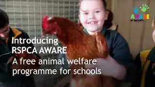 RSPCA AWARE: a free program for students and teachers