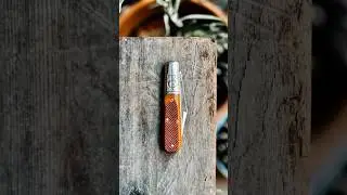 Great Eastern Cutlery ￼- Tidioute Cutlery Barlow Golden Rod Sawcut Bone