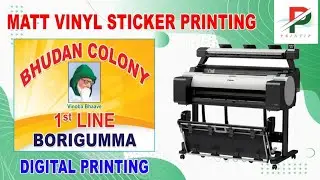 Vinyl sticker printing in Canon TM-5300